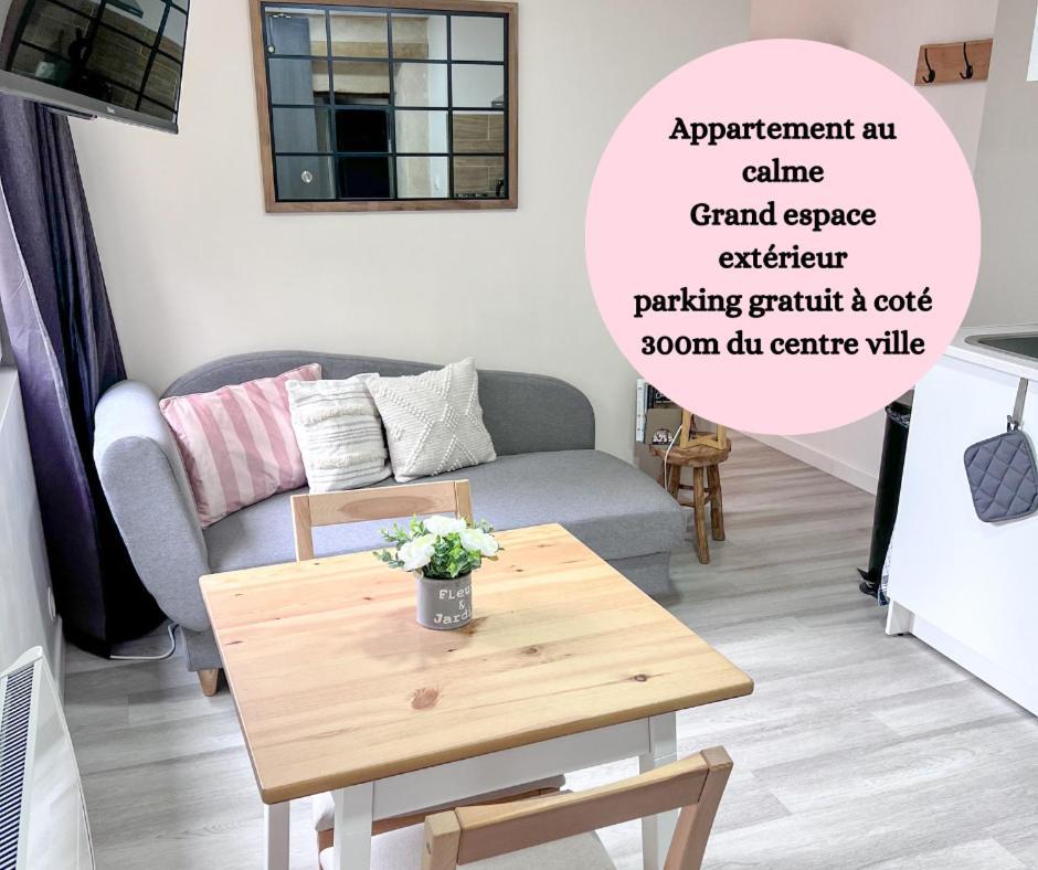 Le Badebec, Appt Dans Maison Typique Avec Jardin Prive Chinon Eksteriør billede